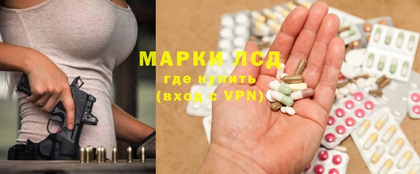 mdpv Снежногорск