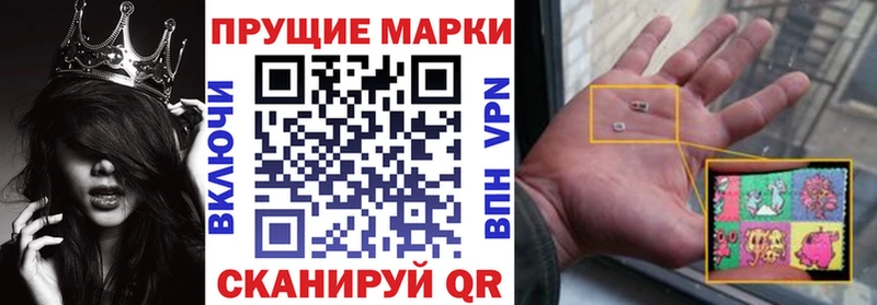 блэк спрут как войти  Томари  Марки N-bome 1500мкг 